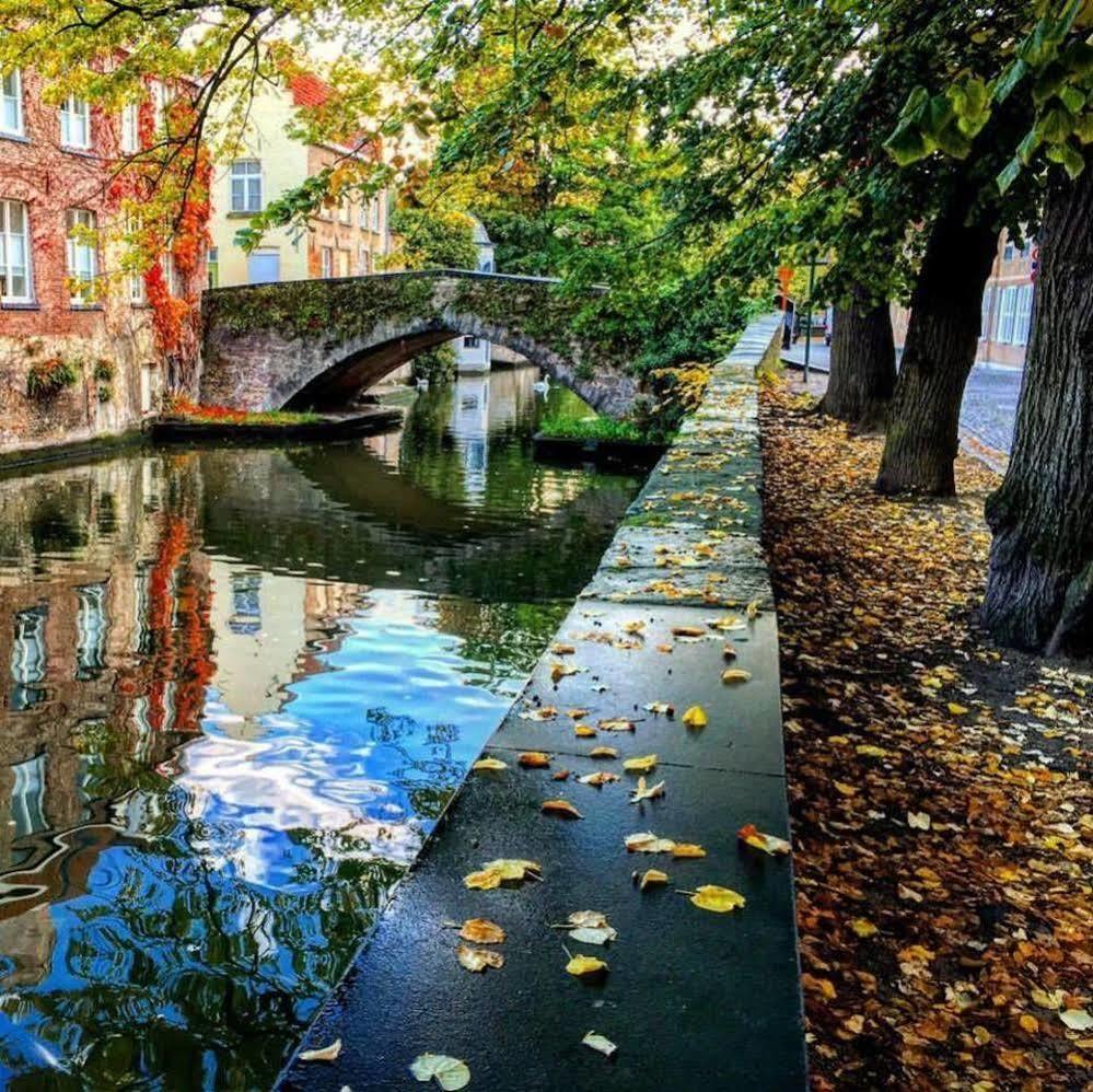 Guesthouse Dijver - Serene Escape In The Heart Of Historic Brugge Ngoại thất bức ảnh